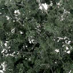 Fine Leaf Foliage Fine - Dark Green - Peggable