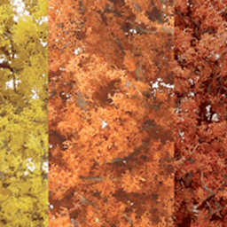 Fine Leaf Foliage Fine - Fall Mix - Peggable