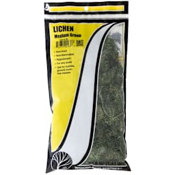 Lichen Groundcover Medium Green - Peggable