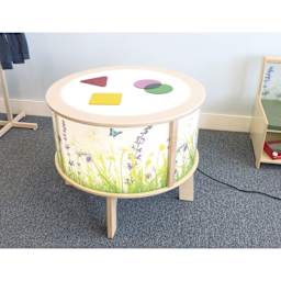 Whitney Brothers Nature View Radiant LED Light Table, with translucent shapes on top