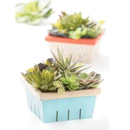 Unfinished Wood Surfaces