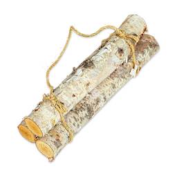 Winter Woods Birch Wood - Set of 3 18" long logs 
