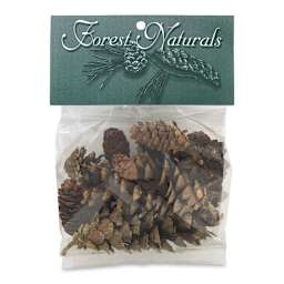 Winter Woods Pine Cones - Front of package of Mixed Pine Cones