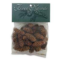 Winter Woods Pine Cones - Front of package of White Spruce Pine Cones