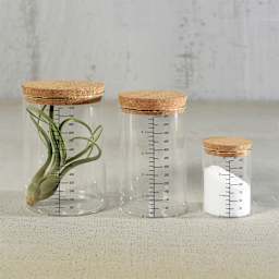 HomArt Milliliter Glass Canister