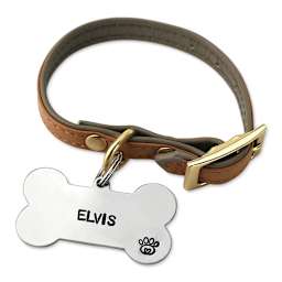 ImpressArt Stamp It Yourself Tag Kit, stamped pet tag on dog collar