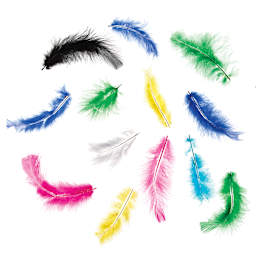 Darice Value Pack Feathers