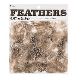 Darice Guinea Feathers