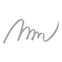 Zebra Metallic Brush Pen - Silver swatch