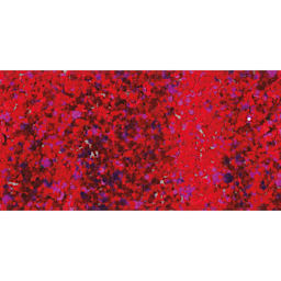 DecoArt Galaxy Glitter Paint - Red Nebula, 2 oz swatch