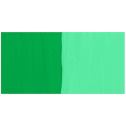 Nicker Poster Colour Paint - Light Green swatch