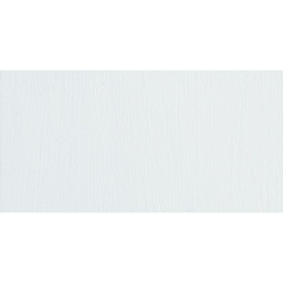 ShinHan Professional Poster Color Paint - White swatch