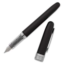 Platinum Plaisir Fountain Pen - Black, Fine, with cap