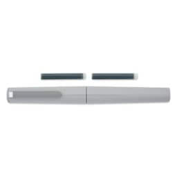 Sailor TUZU Adjust Fountain Pen - Gray, Broad, with replacement ink cartridges