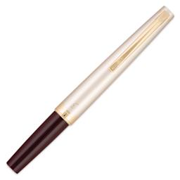 Pilot E59S Fountain Pen - Burgundy and Ivory, cap on