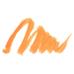 Karin Realbrush Pigment Marker - Pastel Orange, swatch