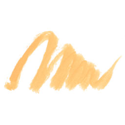 Karin Realbrush Pigment Marker - Pastel Pumpkin, swatch