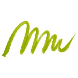 Karin Realbrush Pigment Marker - Lime Green, swatch