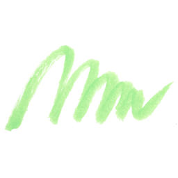 Karin Realbrush Pigment Marker - Pastel Light Green, swatch