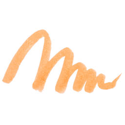 Karin Realbrush Pro Marker - Pale Orange, swatch