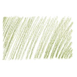 Holbein Artists' Colored Pencil - Olive Green, OP189 swatch