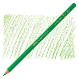 Holbein Artists' Colored Pencil - Evergreen, OP254 pencil and swatch