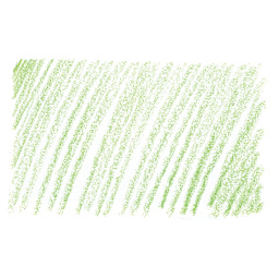 Holbein Artists' Colored Pencil - Evergreen, OP254 swatch