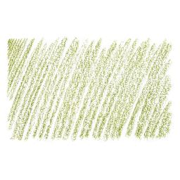Holbein Artists' Colored Pencil - Moss Green, OP290 swatch