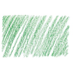 Holbein Artists' Colored Pencil - Holly Green, OP264 swatch