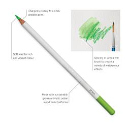 Winsor & Newton Studio Collection Watercolor Pencils, display of its features