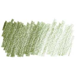 Derwent Chromaflow Colored Pencil - Light Olive, swatch only