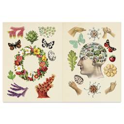 The Antiquarian Sticker Book, open