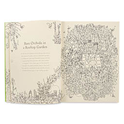 Return of the Wild Coloring Book, Rooftop Garden