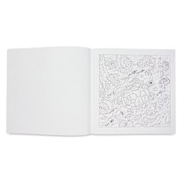 Mythographic Color and Discover: Magical Earth, boy riding giant sea turtle