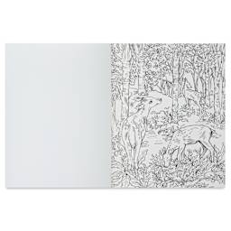 Woodland Watercolor: A Coloring Workbook, open
