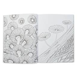Fantastic Fungi: The Coloring Book, open
