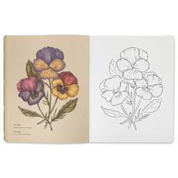Floriography Coloring Book - Paperback, 96 Pages, open