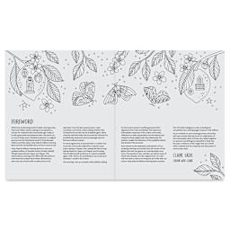 Fairy Tales and Folklore Coloring Book, foreword