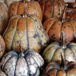 Sio-2 PRAF White Sculpture Clay - finished pumpkin pieces by Maria Gelabert