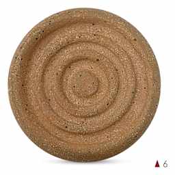 Standard Clay Company 800 Burk Speckled Clay - fired to cone 6