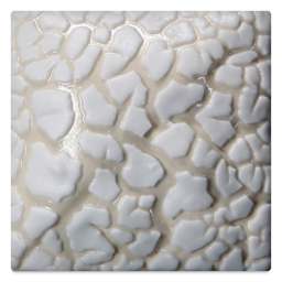 Mayco Stoneware Mudcrack Glaze - White, fired at cone 6 oxidation