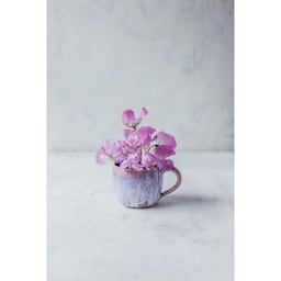 Botz Plus Glaze Enhancer - violet plant in blue and violet finished mug example