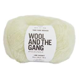 Wool and the Gang Take Care Mohair Yarn - Lime Sherbert, 109 yds