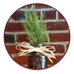 Craft Decor Raffia (Shown on planter)