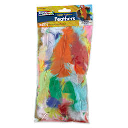 Creativity Street Plumage Feathers - Bright, front of the 1 oz bag