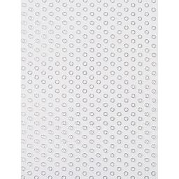 Cricut Joy Cards, Inserts, and Envelopes - Silver Lining, Package of 10 (Silver Circles Insert)