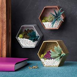 Craft Crush Mini Terrariums Kit (Sample completed terrariums)