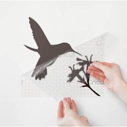 Cricut Transfer Tape Roll applying decal to wall