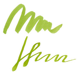 Pilot Iroshizuku Fountain Pen Ink - Bamboo Forest (Chiku-rin), swatch