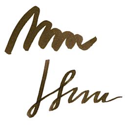 Pilot Iroshizuku Fountain Pen Ink - Wild Chestnut (Yama-guri), swatch